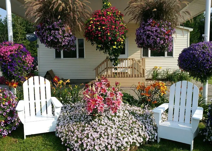 Sunset Motel At Armand'S Gardens